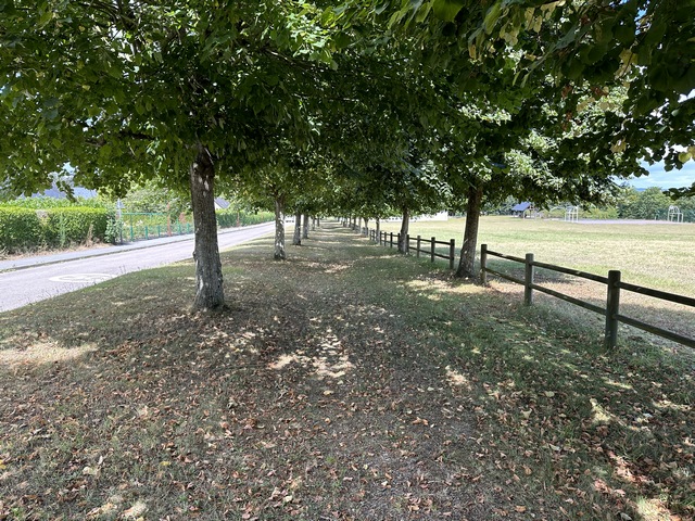 Peu après le départ, nous suivons la rue de la salle des fêtes, mais avec des enfants il faut rester dans la rue du Village pour ne pas avoir à marcher sur la D45.