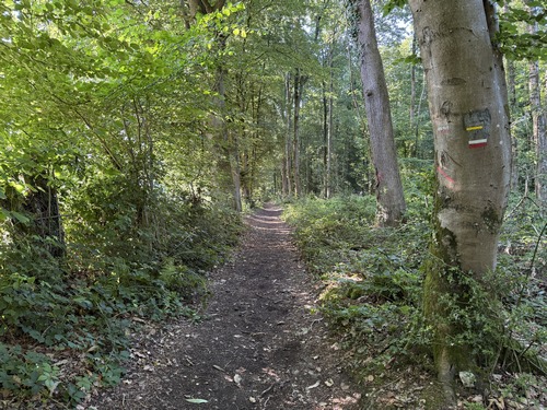 Nous commençons par suivre les balises jaunes du circuit Sur les Traces de Pascal, ainsi que les balises du GR26, qui nous font contourner le bois de Gassard.
