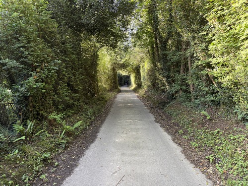 Une bonne partie du circuit est boisée, en alternant chemins ou comme ici de petites routes qui ne desservent parfois qu'une seule maison.