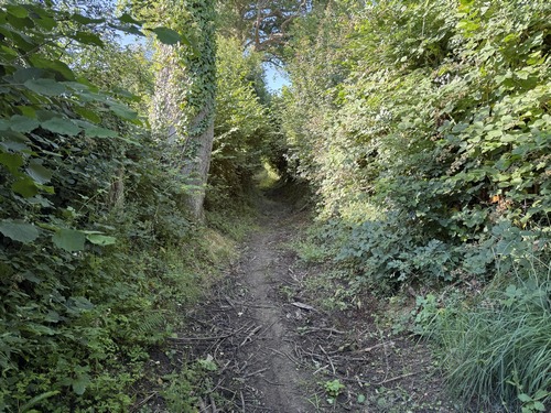 Même dans les plaines, les chemins restent ombragés, protégés par les couloirs verts ou les chemins creux qui séparent les champs.