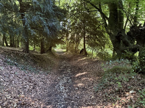 Bois du Mordouet avant le Torquesne. Attention, l'entrée du chemin suivant à la sortie du bois est très discrète. Elle se trouve à droite, juste après que le chemin devienne petite route.
