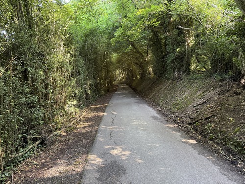 Nous sortons du Torquesne par la petite route Chemin de la Fontaine Magard qui descend jusqu'au manoir hyponyme.