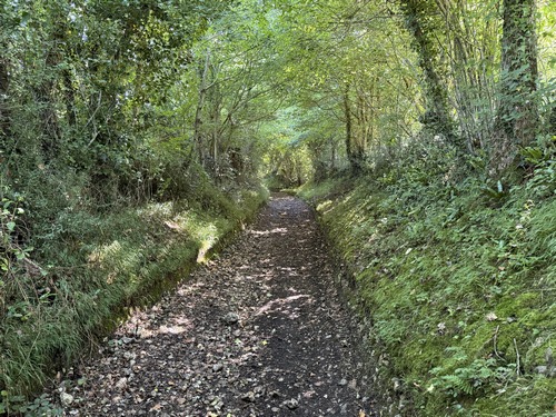Après le manoir, nous retrouvons enfin les chemins, avec ici ce long et beau chemin qui longe le parc du château de Gassard (caché).&nbsp;