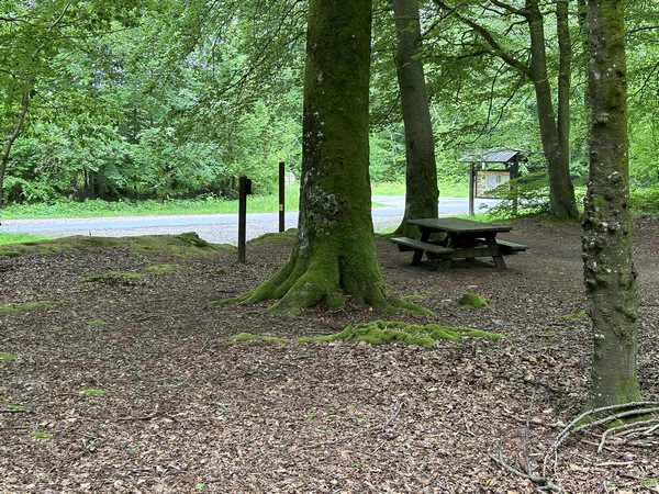 Le carrefour de Maucomble est signalé comme aire de pique-nique... avec 1 table de pique-nique. Nous allons prendre la route forestière des Limousins à gauche.