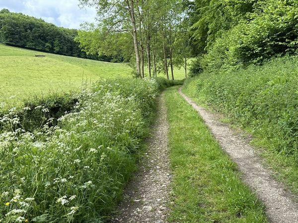 Nous retrouvons le somptueux chemin de la Garennerie. Il serpente dans le Fond de Maucomble entre les pâturages et la forêt.