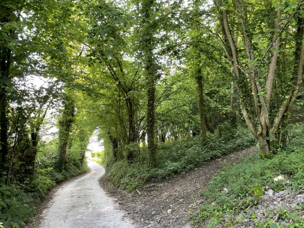 L'itinéraire balisé tourne ici à droite sur le chemin, mais il est indispensable de faire quelques mètres pour rejoindre le bord de Seine.