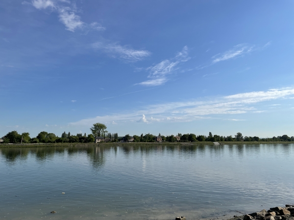 Nous voilà en bord de Seine, sur le lieu de l'ancien passage d'eau de La Roche. C'est ici que les chevaux de halage quittaient la rive gauche pour rejoindre la rive droite jusqu'à Duclair. Quand la vapeur à remplacé le halage, le passage d'eau est devenu un bac pour piétons jusqu'en 1972.