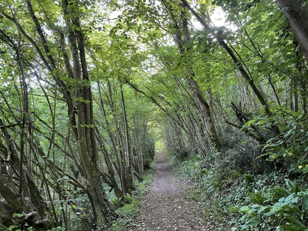 Nous rejoignons l'itinéraire en direction de la ferme du Marronnier.