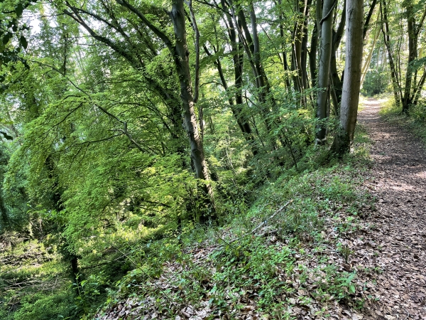 Le chemin longe ici le vertigineux Trou des Rouges Terres.