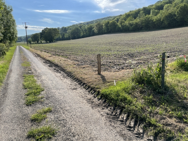 L'itinéraire tourne ici à droite, peu après la sortie du pré.