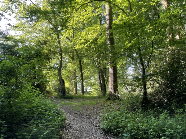 La pente est raide pour retrouver le plateau, mais la randonnée n'est que de 6 km...
