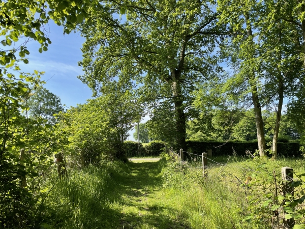 Nous arrivons à la D712. Nous la quitterons rapidement pour reprendre des chemins.