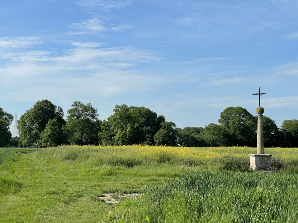Voilà la Croix Simon, nous tournons à droite en direction de Barneville.