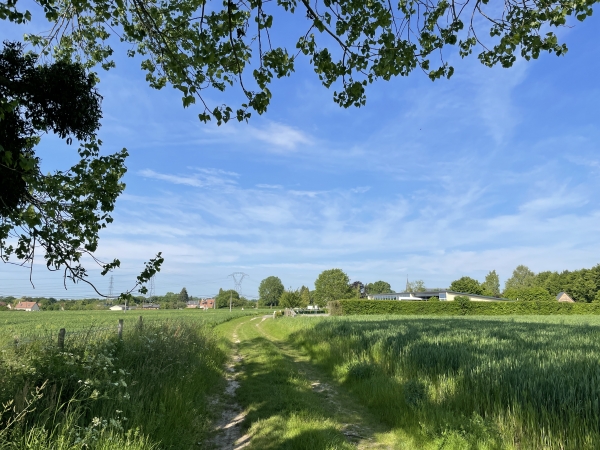 Nous arrivons à Barneville par le chemin qui longe l'école.