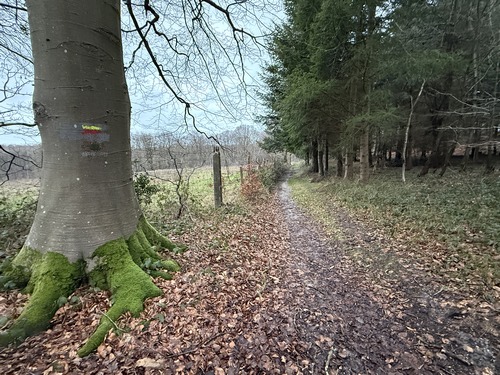 Le chemin aux Galets est balisé aux couleurs du GRP. Nous ne sommes pas encore en forêt domaniale, le bois de la Houssaie est un bois privé, et seul ce chemin balisé est public.