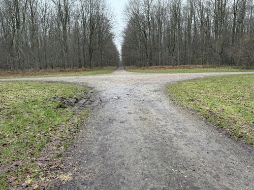 Nous sommes maintenant en forêt domaniale d'Eawy, nous allons traverser la route forestière de la Fonte et continuer tout droit sur la route forestière d'Haussez.