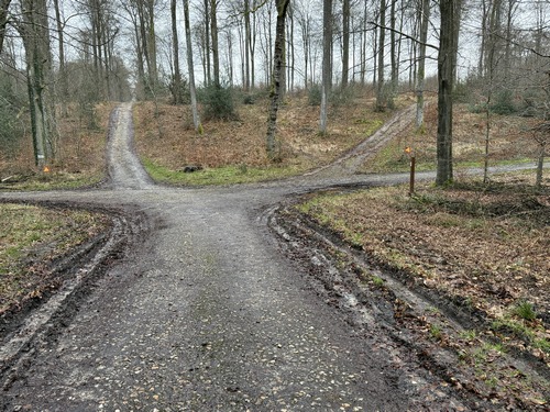 Nous allons traverser la route forestière du Fon Saint-Etienne et continuer sur le Chemin Vert qui monte à droite.