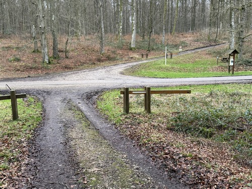 Nous arrivons au Carrefour des Saules, traverser la célèbre route forestière des Limousins, et continuer sur la route forestière de l'Eglise qui monte en face.