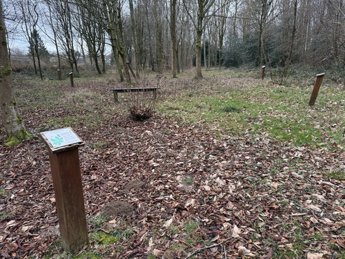 En 1811, année de la naissance du fils de Napoléon 1er, des hêtres furent plantés pour marquer l'évènement, il en reste quelques uns, majestueux. En 1996, Ventes-St-Rémy aménage le site en arboretum avec 27 espèces d'arbres. A voir à la belle saison. Panneau informatif dans l'album de la rando.