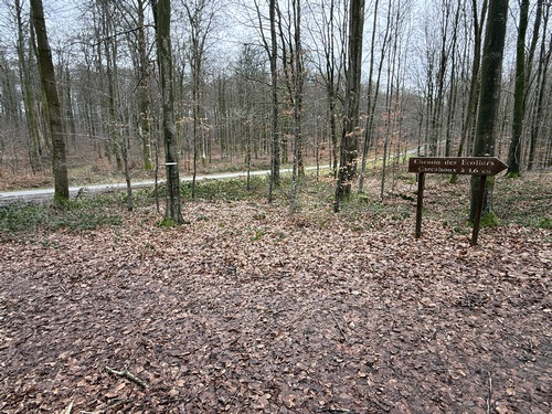 Nous quittons le Chemin des Ecoliers pour traverser la route forestière de Bully et monter vers le Puits Merveilleux.