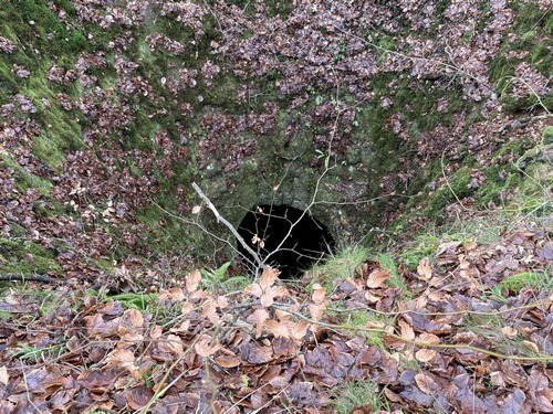 Le Puits Merveilleux est un gouffre en forme de sablier, propice aux légendes comme celle du carrosse tombé avec ses chevaux, du canard entré ici et ressorti au château d'Arques-la-Bataille... Le gouffre a été en partie désobstrué mais conserve encore ses mystères.