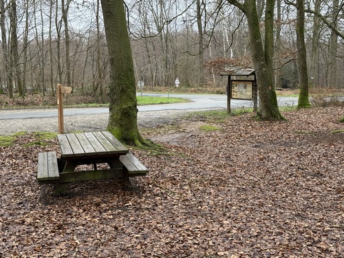 Non loin du Puits Merveilleux, nous rejoignons le Carrefour de Maucomble (Table de pique-nique). Nous allons continuer en face sur la route forestière de Bully.