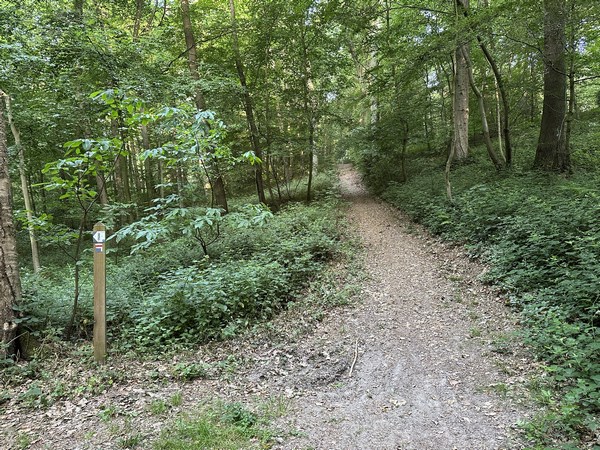 Au sommet, nous quittons le GR2, et continuons ici tout droit vers le hameau de la Cambuse. Il est aussi possible de rejoindre les abords du château de Villequier en restant en forêt.
