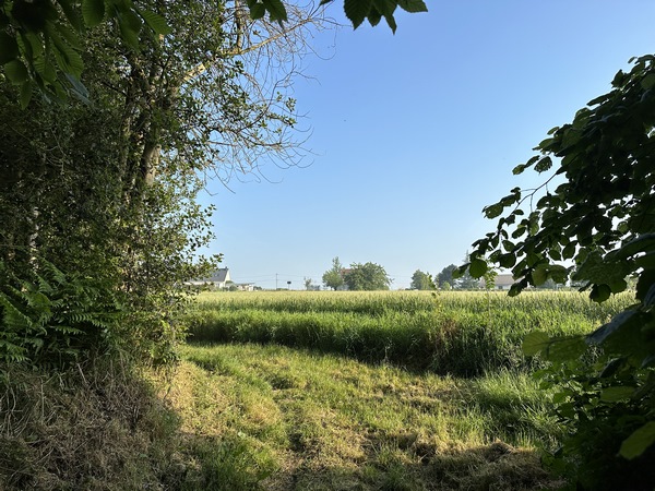 Nous sortons de la forêt par le Sentier de Norville.