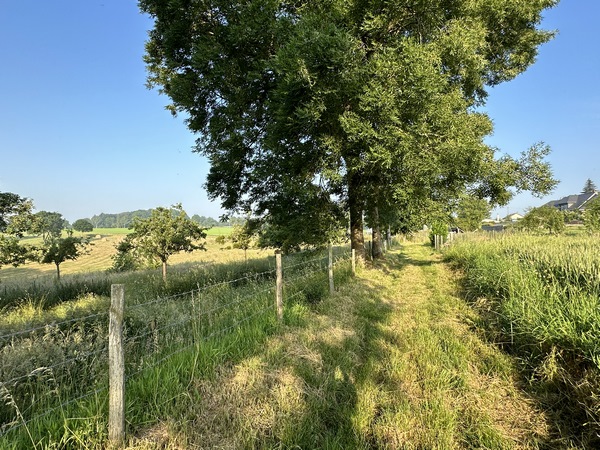 Sentier de Norville au hameau de la Cambuse.