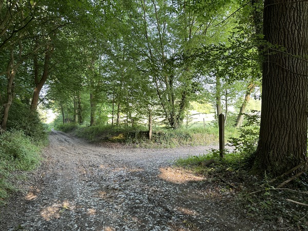 Arrivés dans le vallon de la Ravine, nous allons quitter le chemin principal et tourner ici à droite.
