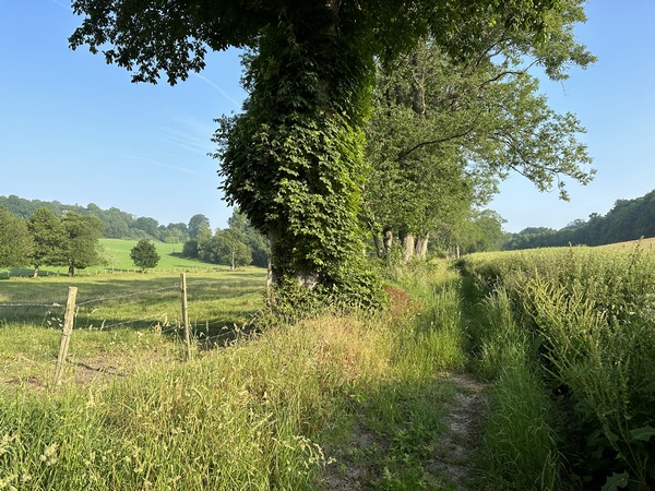 Nous suivons vers le nord ce chemin herbu qui domine la plaine de la Ravine.