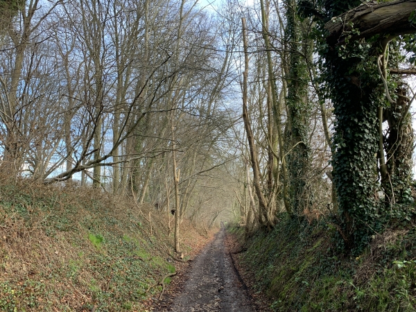 Nous traversons le hameau de Breuilly et longeons le bois de Bellengreville.