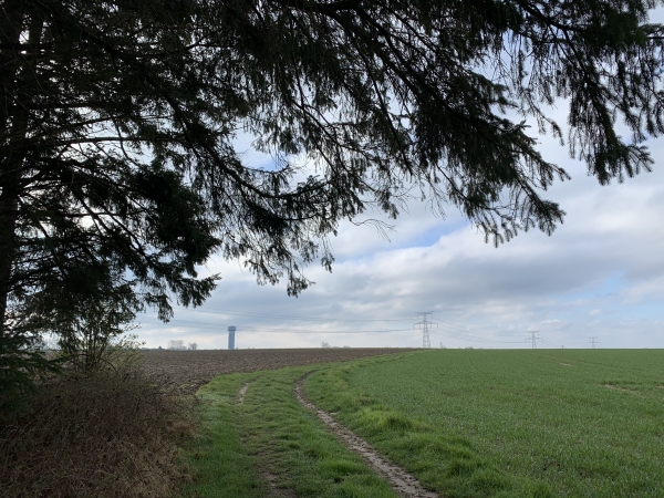 Nous quittons les bois pour traverser la plaine agricole jusqu'au hameau de Maulny.