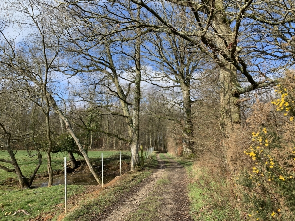 Après le hameau de Maulny, nous entrons dans le bois de St-Sulpice.