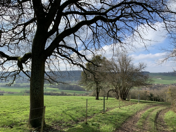 Le chemin longe ici le bois de St-Sulpice, et domine la vallée de l'Eaulne.