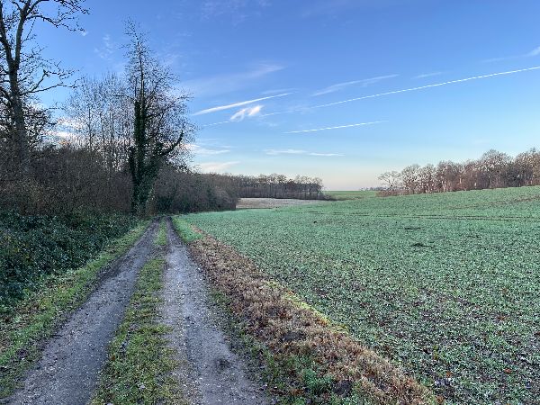 A la Grande Motte, la route devient chemin en lisière du bois de la Motte.