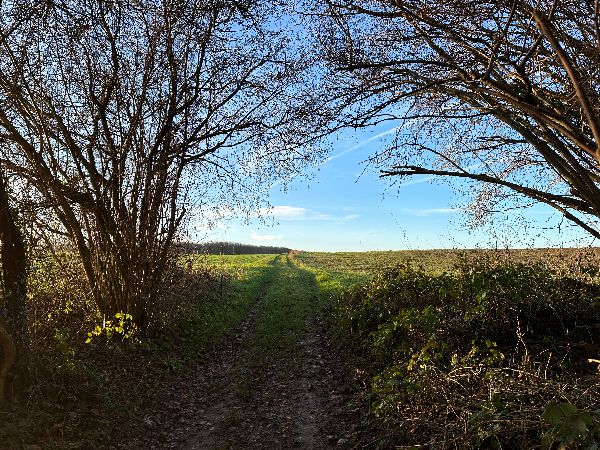 Nous suivons ensuite la D48 sur 500 mètres, et montons ici vers le château de Bosmelets.