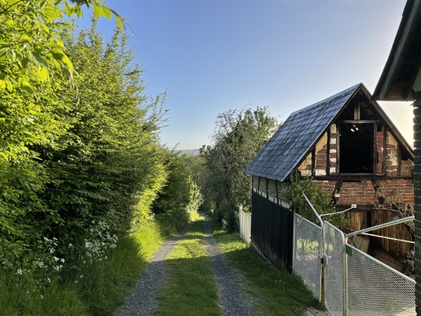 Notre chemin descend en pente douce vers la vallée.
