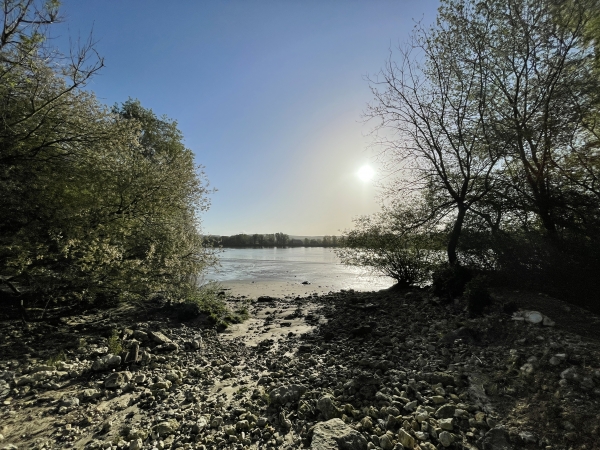 Petite plage de Seine, peu avant le chemin de la Cavée.