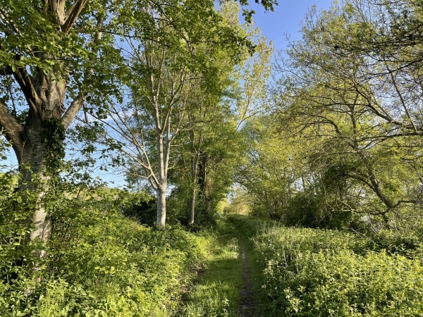 Nous sommes sur le chemin de la Cavée. Le circuit officiel remonte bientôt sur la gauche. Nous, nous continuons le long de la Seine.