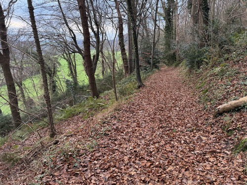 Nous descendons dans le bois pour rejoindre la vallée.