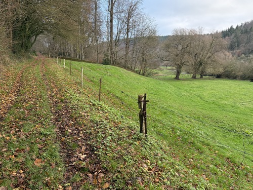 Cette partie du circuit au-dessus de la Ganzeville suffirait à elle seule pour justifier cette randonnée.