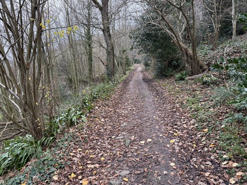 Nous montons la route du Mont Robert et la quittons pour suivre ce délicieux chemin dans le bois du coteau.