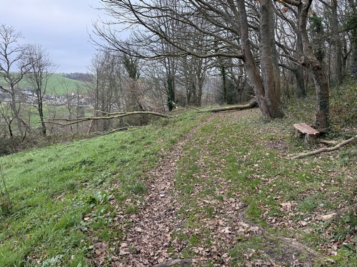 Un vieux banc permet une pose café à mi parcours, avec une vue splendide sur la vallée.
