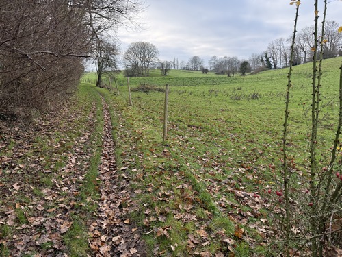 Passage boisé puis montée dans la plaine près du hameau de Gournay&nbsp;