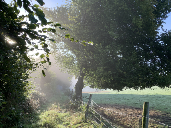 Nous descendons du plateau pour rejoindre la vallée de l'Aubrière.