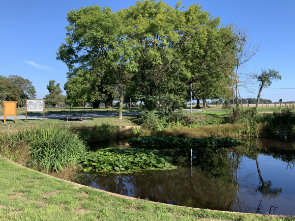 Nous arrivons à la Mare Foulon (table de pique-nique).