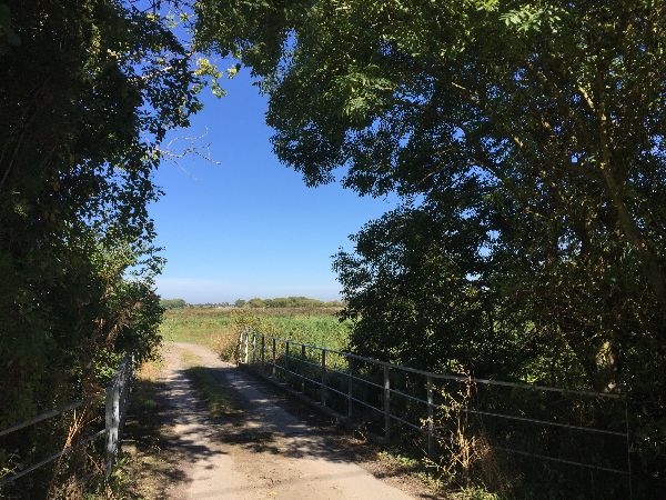 Nous faisons un petit aller-retour jusqu'au Ponton du Périers, à l'entrée du Grand Canal.