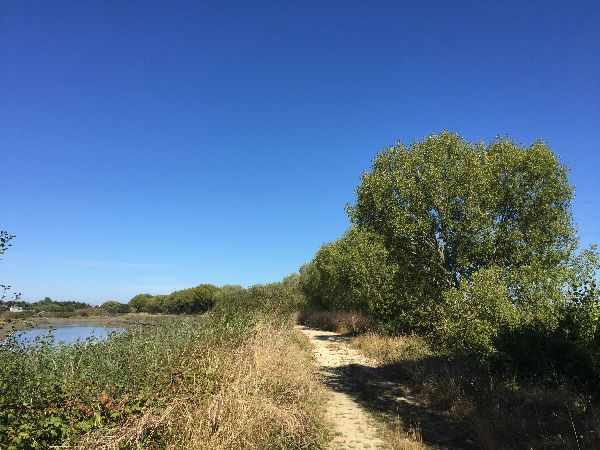 Nous suivons le charmant chemin des Ecrevettes qui longe la Dives. 