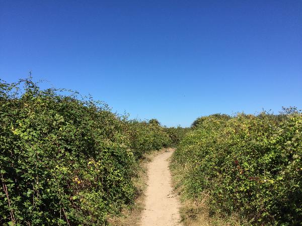 Nous continuons sur le chemin de sable entre l'estuaire de l'Orne et le Gros Banc.